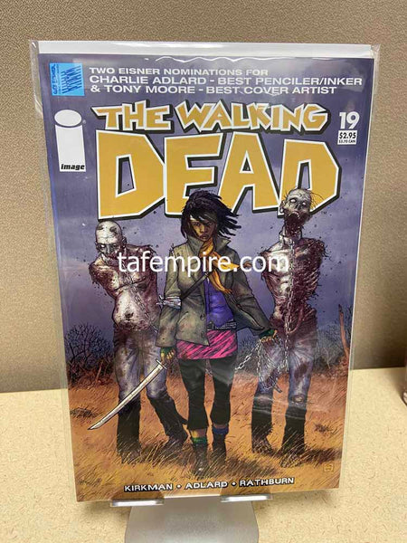 The WALKING DEAD #19 - IMAGE COMICS - FIRST PRINT JUNE 2005 FIRST MICHONNE VF/NM
