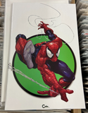 AMAZING SPIDER-MAN #1 CLAYTON CRAIN BLACK FLAG VIRGIN COVER